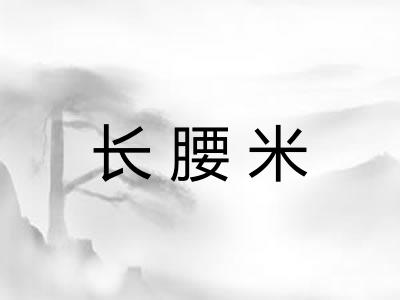 长腰米