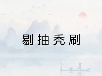 剔抽秃刷 剔抽秃刷