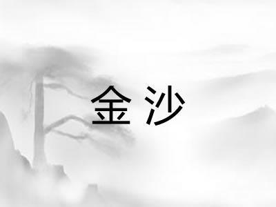 金沙