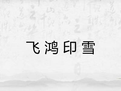 飞鸿印雪