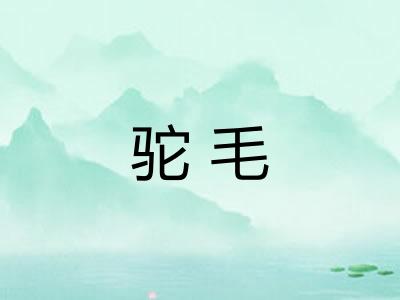驼毛 驼毛