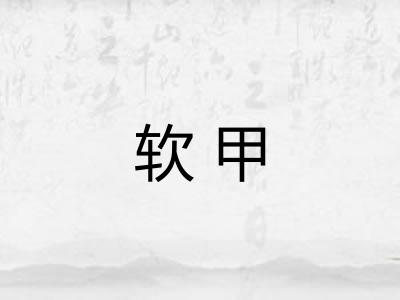 软甲