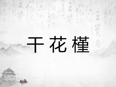 干花槿
