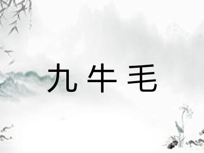 九牛毛