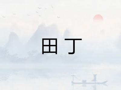 田丁