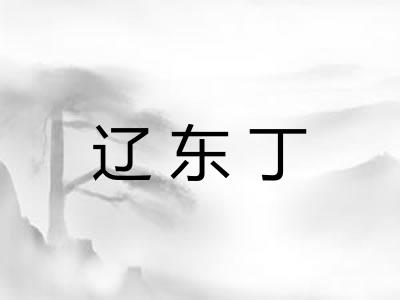 辽东丁