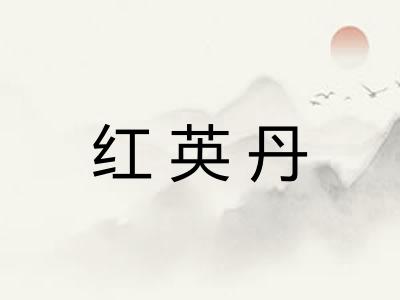 红英丹