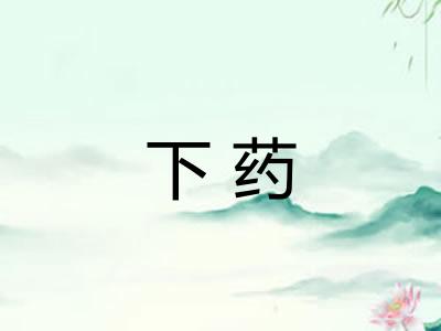 下药