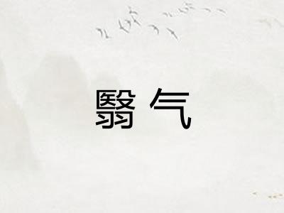 翳气