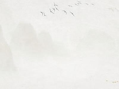 不结盟国家
