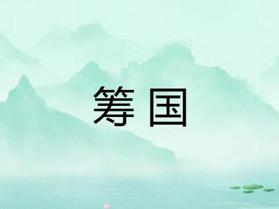 筹国
