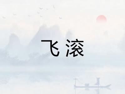 飞滚