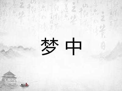 梦中