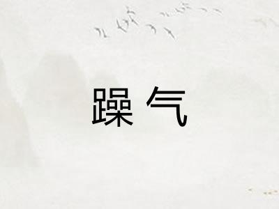 躁气
