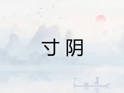 寸阴