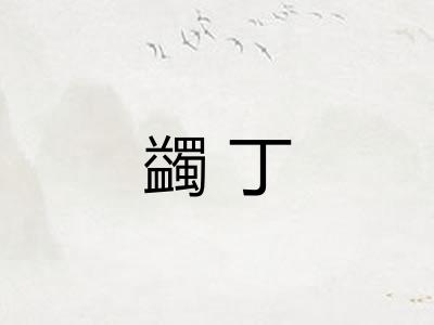 蠲丁