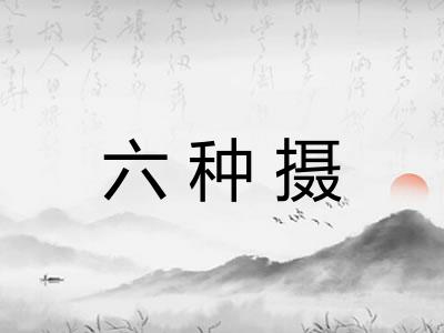 六种摄
