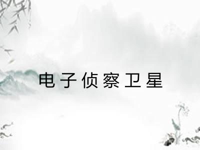 电子侦察卫星