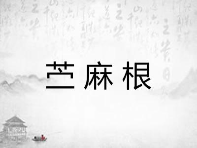 苎麻根