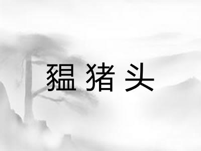 豱猪头