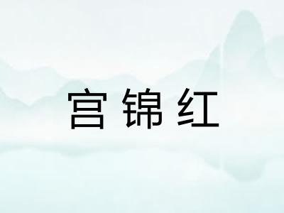 宫锦红