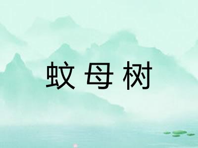 蚊母树