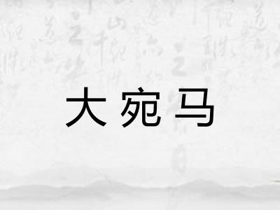 大宛马