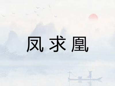 凤求凰