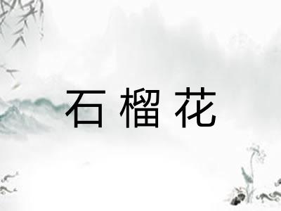 石榴花