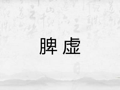 脾虚 脾虚