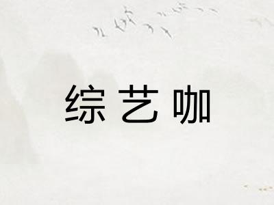 综艺咖