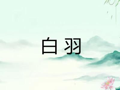 白羽