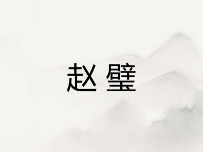 赵璧