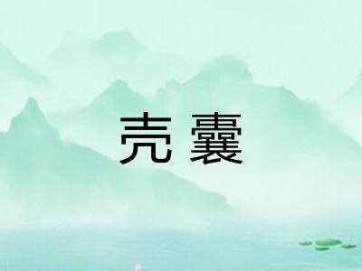 壳囊