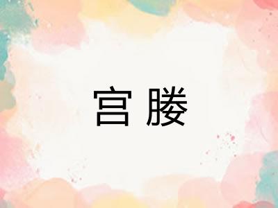 宫媵