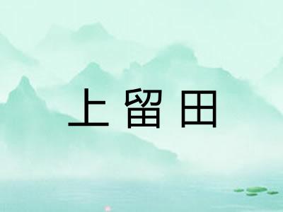 上留田