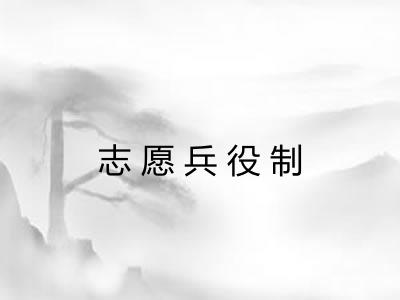 志愿兵役制