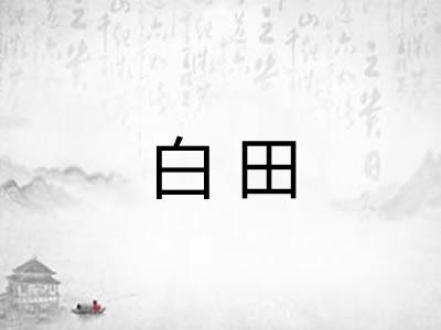 白田