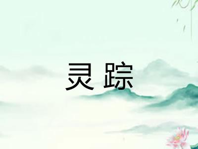 灵踪
