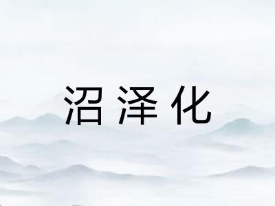 沼泽化 沼泽化