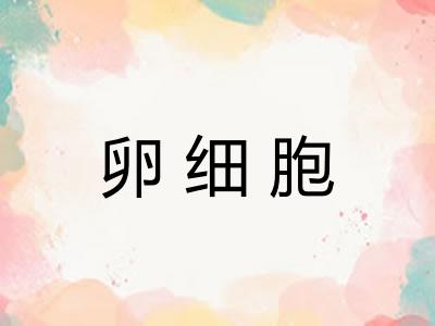 卵细胞