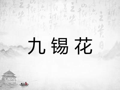 九锡花
