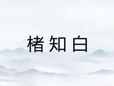 楮知白