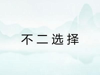 不二选择