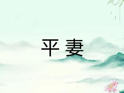 平妻