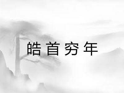 皓首穷年 皓首穷年