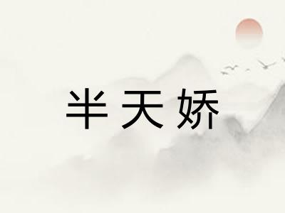 半天娇