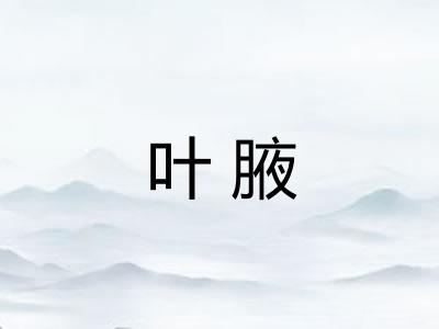 叶腋
