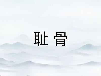耻骨