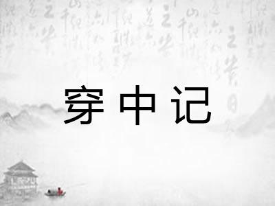 穿中记